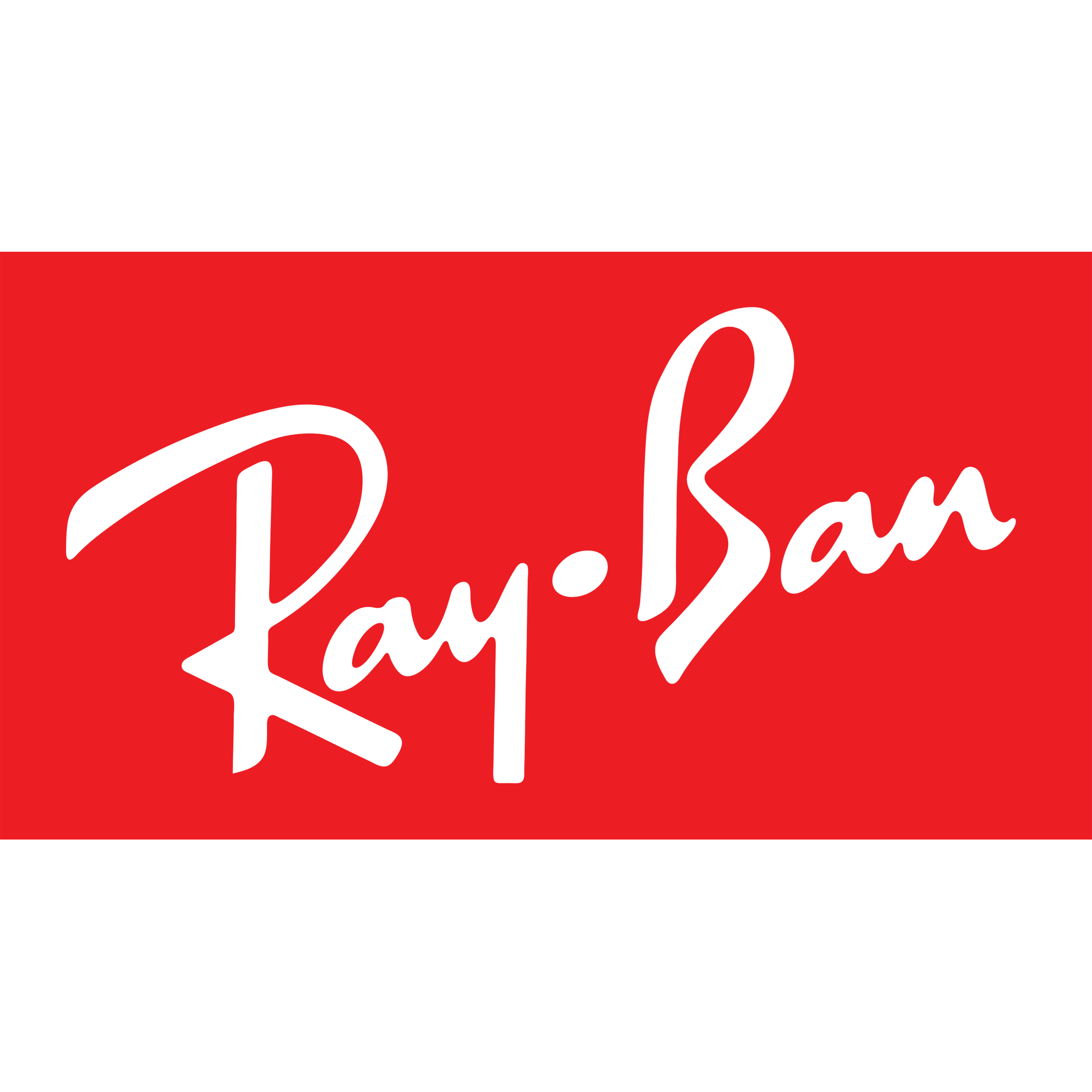 Untitled-1_0010_Nikon_Logo_0011_Untitled-1_0001_2560px-Ray-Ban_logo.svg