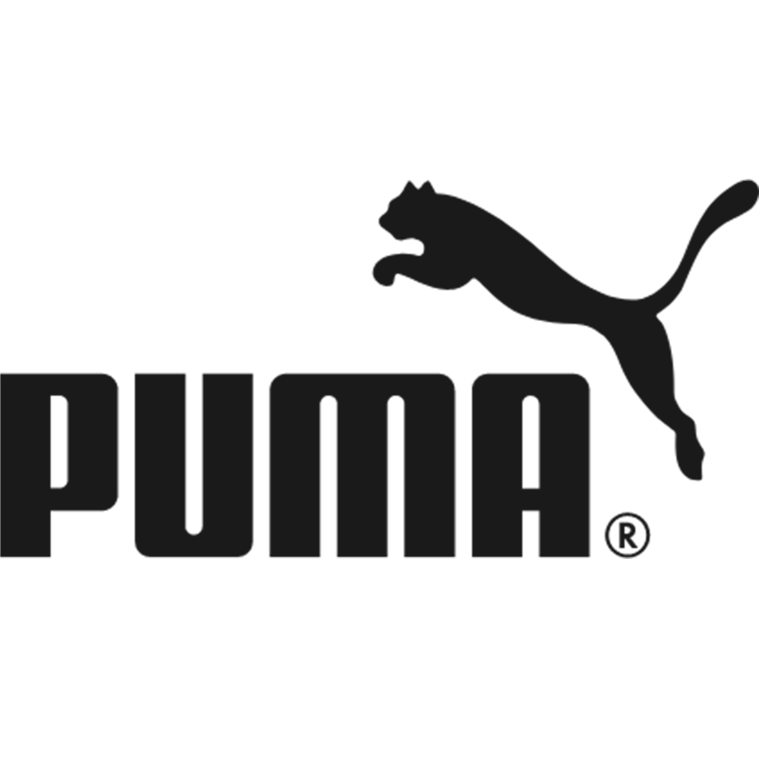 Untitled-1_0010_Nikon_Logo_0016_Untitled-1_0007_puma